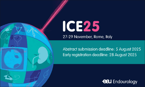 ICE25