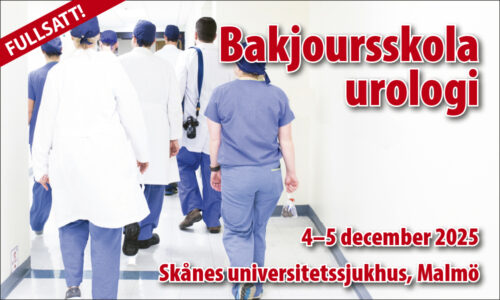 Bakjoursskola-25c_fullsatt
