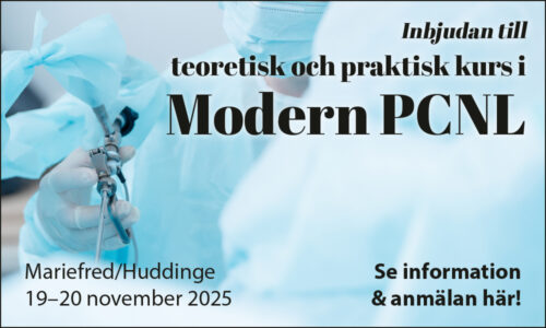 PCNL-kurs_2025