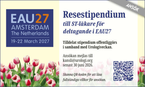 Resestipendium2